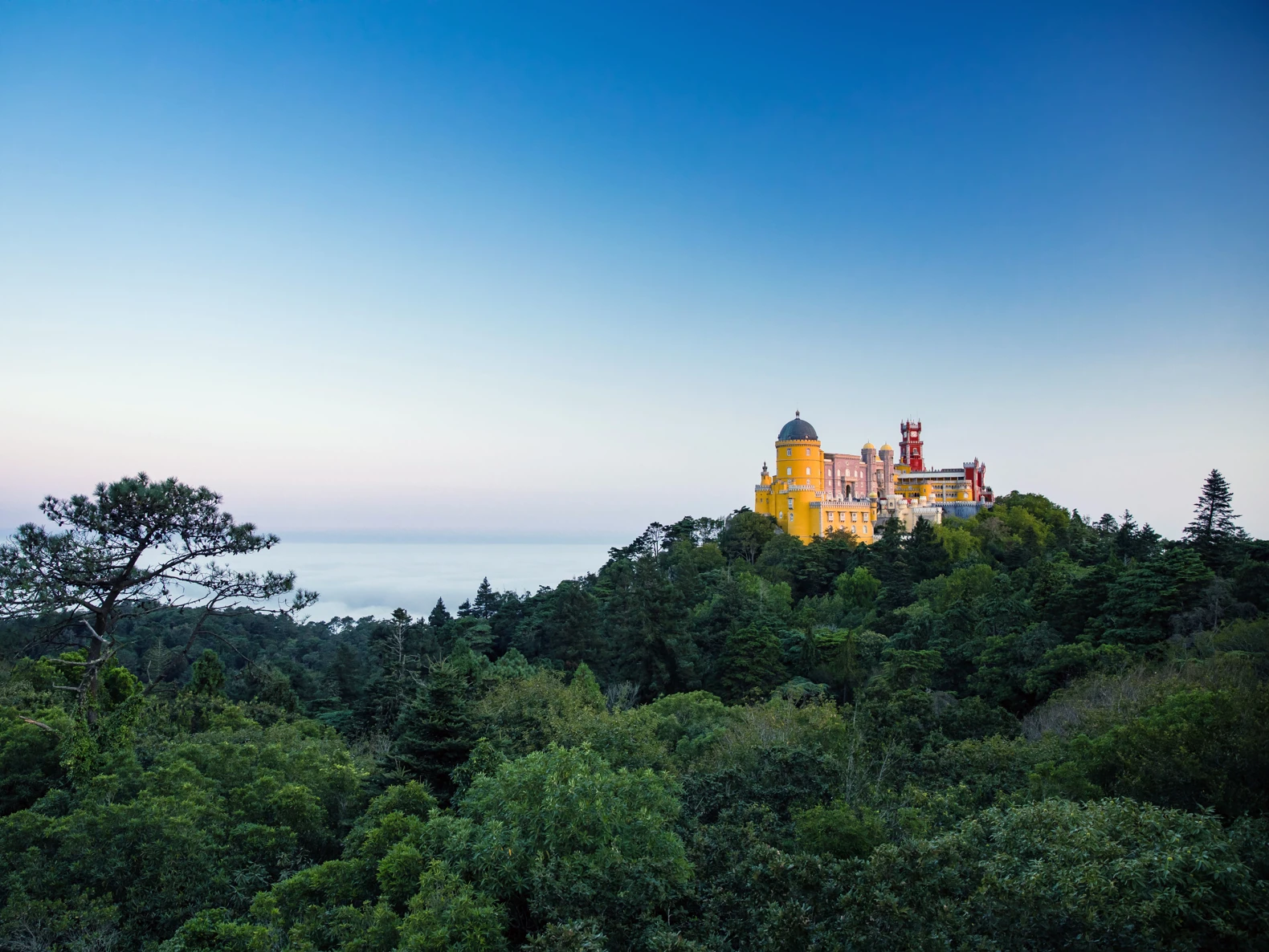 Caça ao Tesouro no Parque da Pena